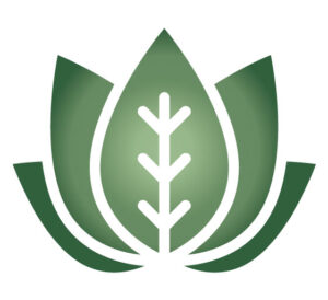 Logo de l’institut Ty Détente, Le Hézo, symbole de relaxation et bien-être.